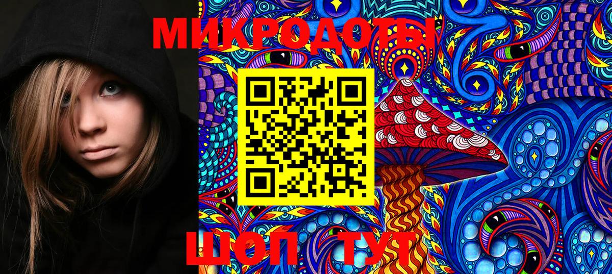 Псилоцибиновые грибы Psilocybine cubensis Рубцовск