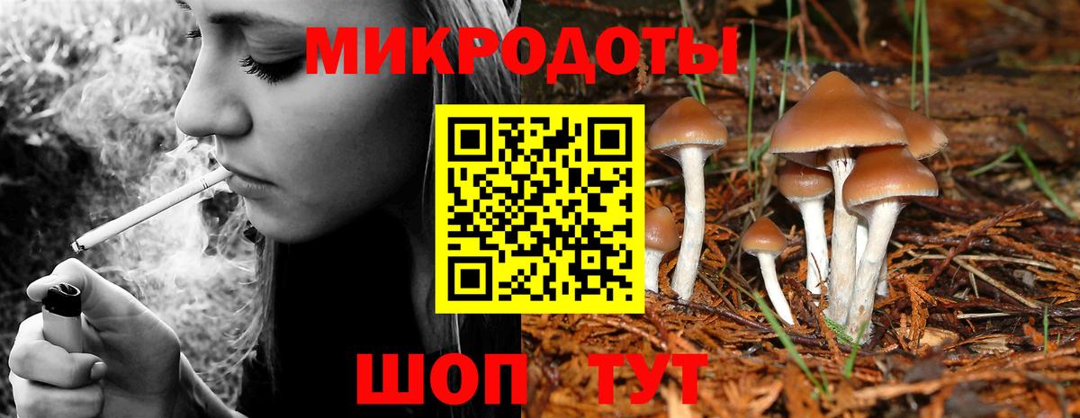 Галлюциногенные грибы MAGIC MUSHROOMS  Вход с VPN  Рубцовск 